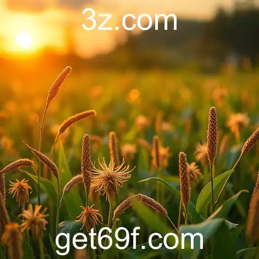 Revoluções Digitais Impulsionam o Futuro do Brasil